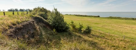 Oudemirdumerklif