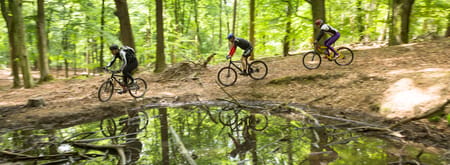 Mountainbiken Voorsterbos