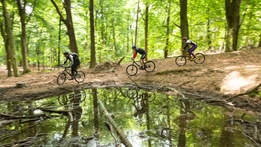 Mountainbiken Voorsterbos