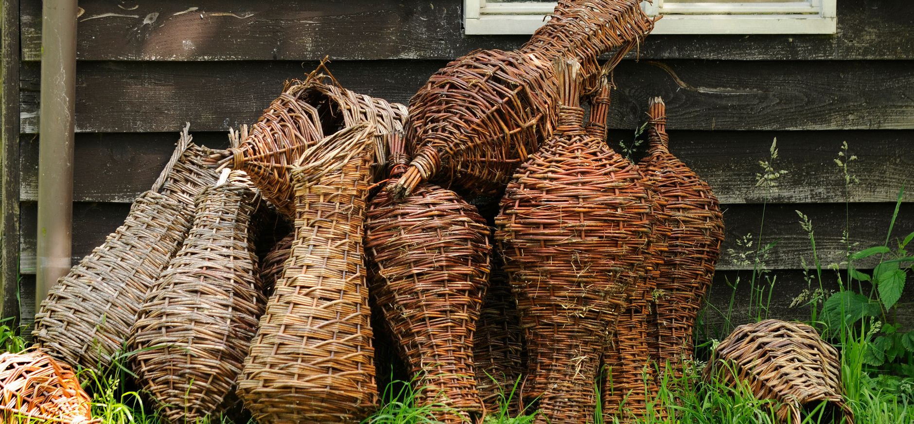 Eendenkooi Schipluiden