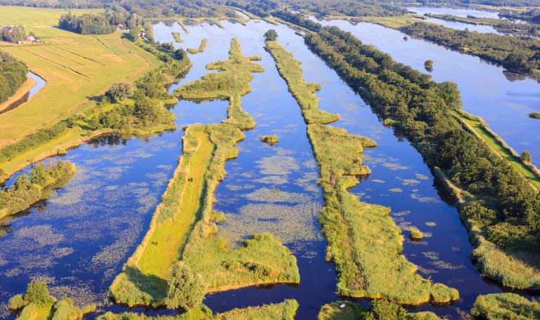 Ankeveense plassen
