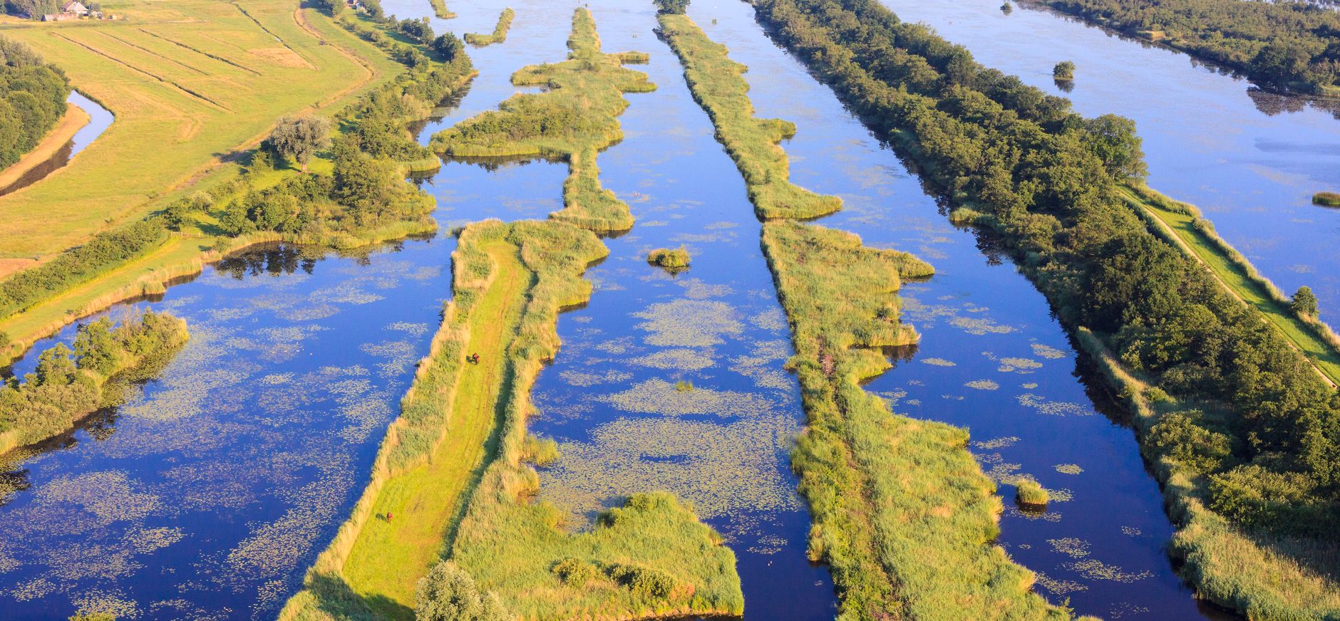 Ankeveense plassen