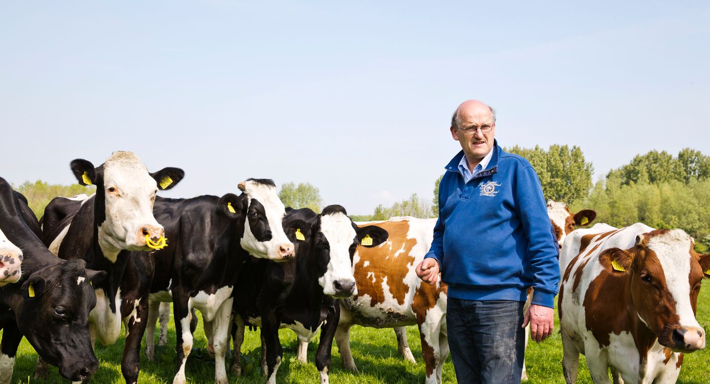 Boer Arie van den Berg in Midden-Delfland