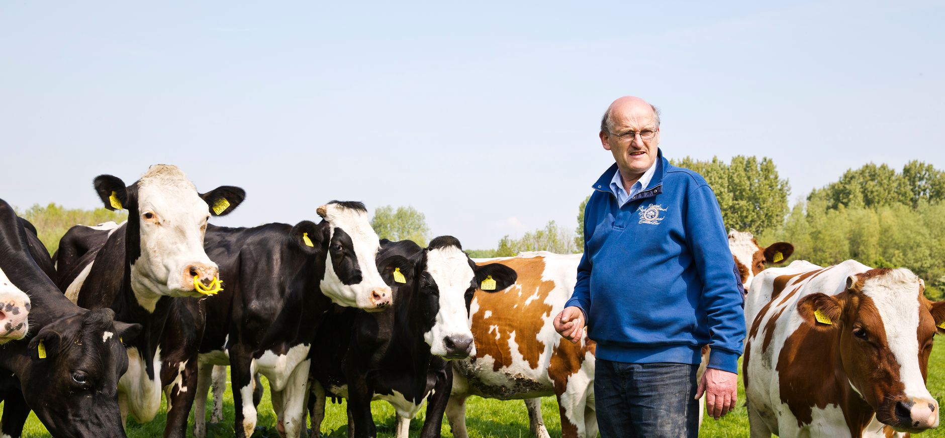 Boer Arie van den Berg in Midden-Delfland