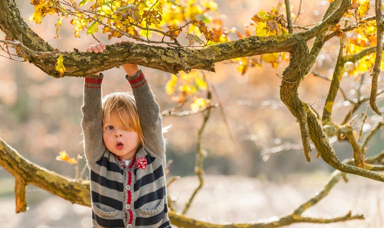jongen in boom 