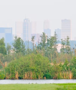 Ackerdijkse Plassen met uitzicht op Rotterdam