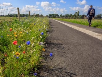 Groene Halte Rodenrijs ligt pal aan het Polderpad