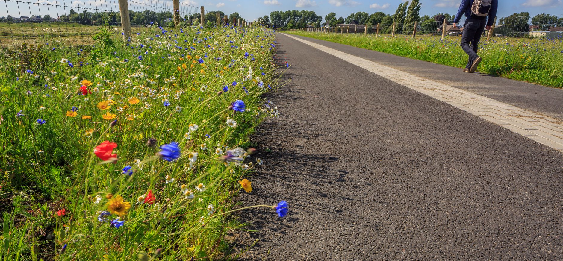 Groene Halte Rodenrijs ligt pal aan het Polderpad