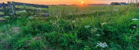Polder Noord-Kethel
