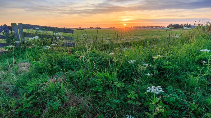 Polder Noord-Kethel