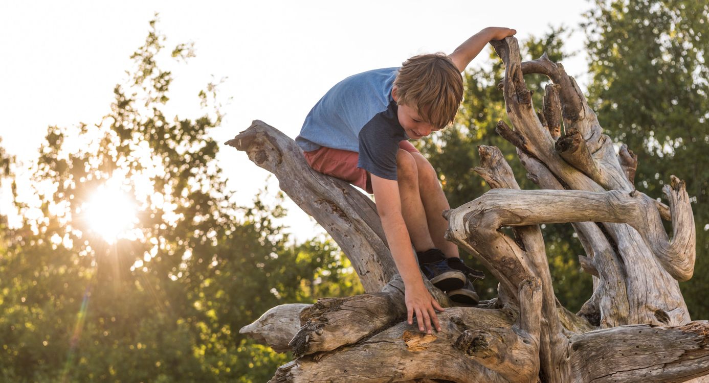 Klimmen in de Rucphense bossen