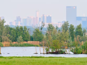 Ackerdijkse Plassen en Broekpolder