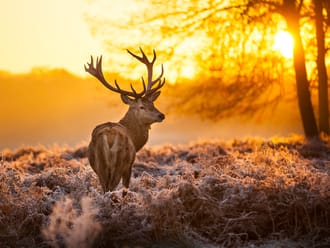 Bijzondere Natuurmonumenten