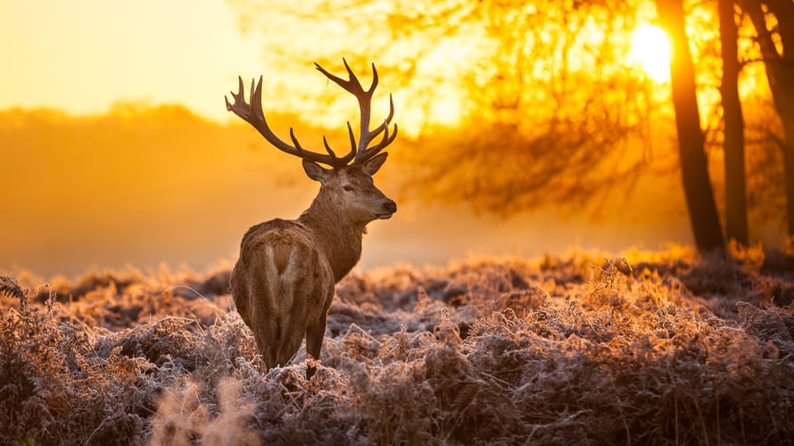 Bijzondere Natuurmonumenten