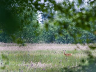De schrijfster en de schilder