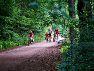 De verrassende Veluwe