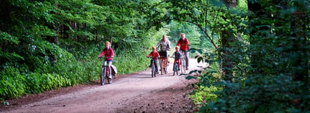 De verrassende Veluwe