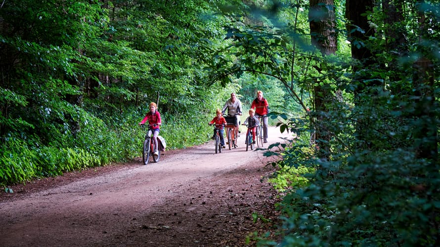 De verrassende Veluwe