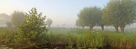 Kabbelend water en natuurparels