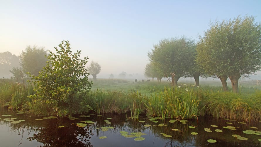 Kabbelend water en natuurparels