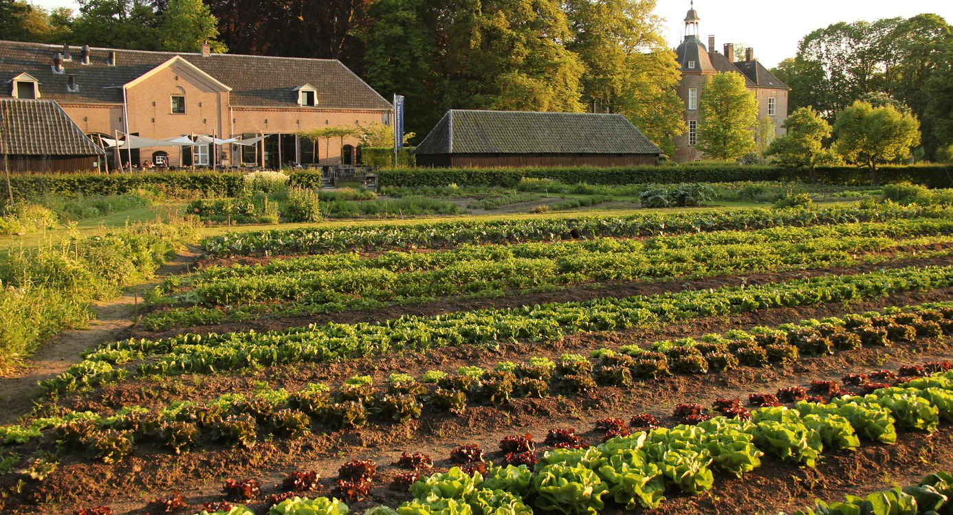 Keuken van Hackfort