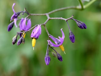 Limburg van verschillende kanten