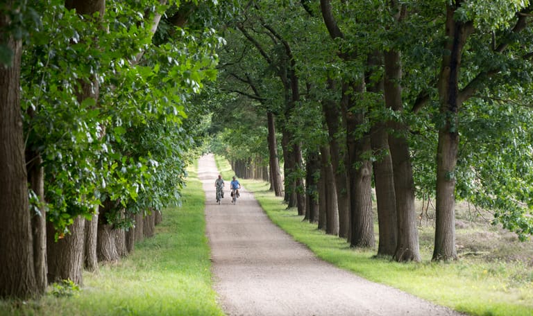 Natuur en kastelen