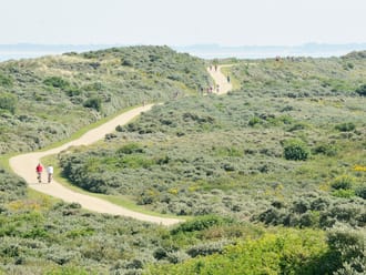Planten en dieren op Goeree