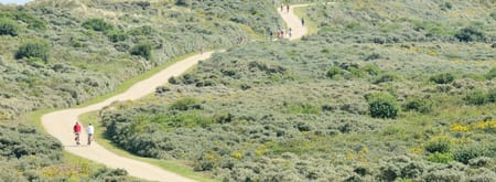 Planten en dieren op Goeree