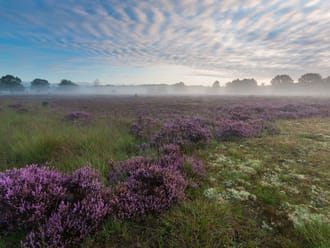 Twente natuurlijk