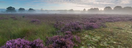 Twente natuurlijk
