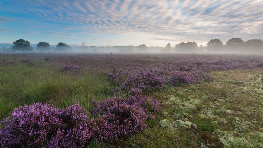 Twente natuurlijk