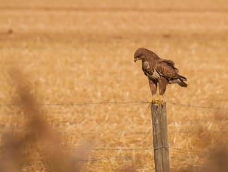 Rust en ruimte in de Uitlandse Polder