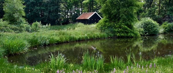 Arboretum Poort Bulten