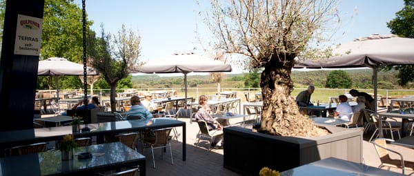 Bezoekerscentrum Brunssummerheide terras