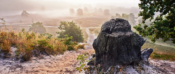 Brunssummerheide