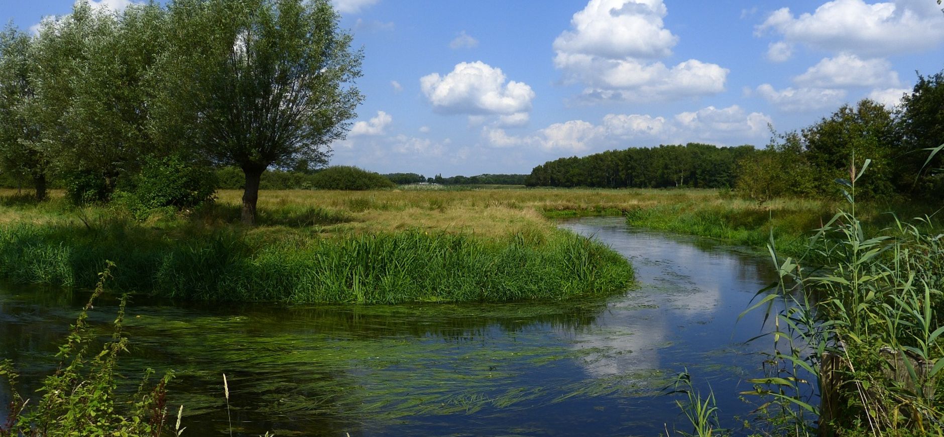 De Dommel in Dommeldal