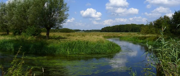 De Dommel in Dommeldal