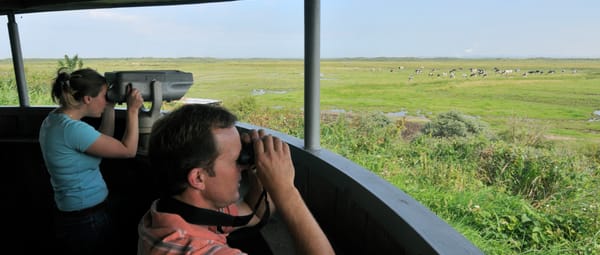 Duinen van Goeree uitkijkpunt