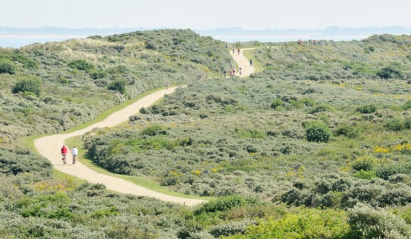 Duinen van Goeree