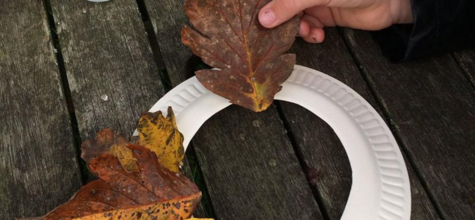 Herfstkrans