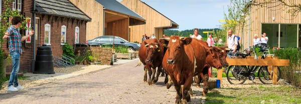 Hoeve Wielrevelt