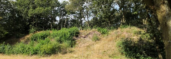 Kogelvanger