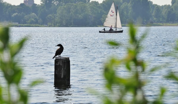 Kortenhoefse Plassen
