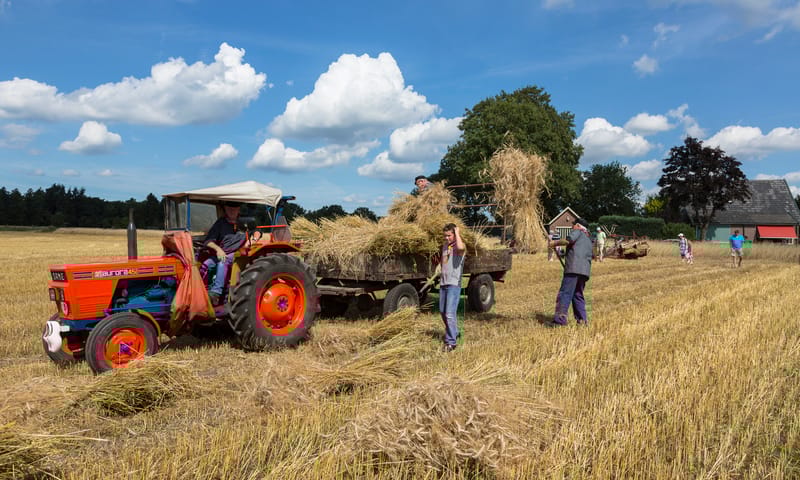 Samen werken op het land