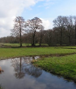 beekdal op De Klencke