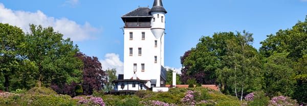 Nationaal Park Sallandse Heuvelrug