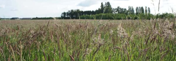 Natuurpoort Visdonk