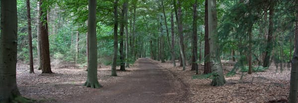 Oosterheide