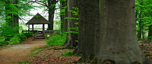 Oude Buisse Heide